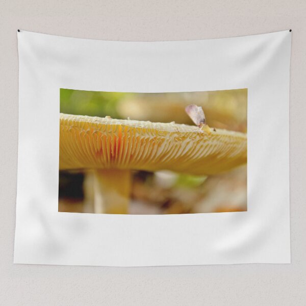 Item preview, Look Me in the Gills designed and sold by Kathleen Daley.