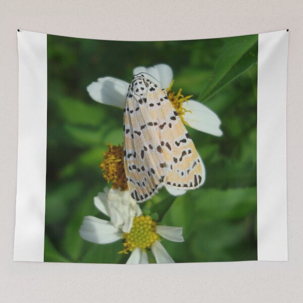 Item preview, So delightfully "bella"!  The beautiful Ornate Bella Moth designed and sold by May Lattanzio.