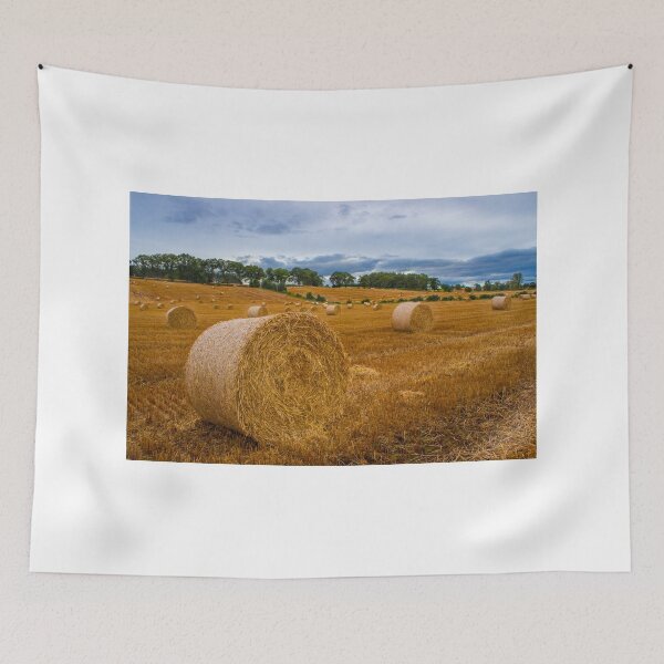 Artikelvorschau, Im Feld entworfen und verkauft von Tek-Photography.