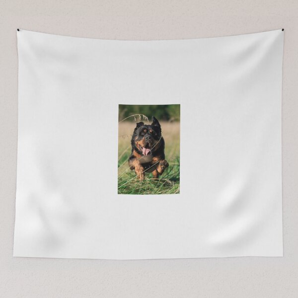 Item preview, Super Milo designed and sold by czeddy70.