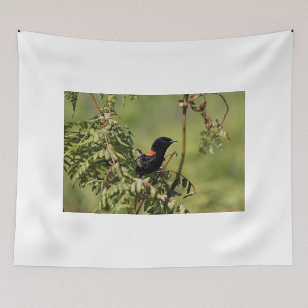 Item preview, On The Lookout  designed and sold by byronbackyard.