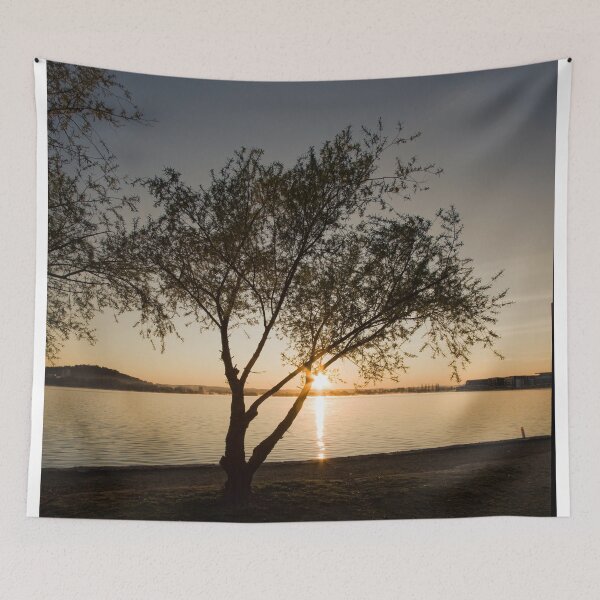 Item preview, Sunrise at Lake Burley Griffin in Canberra/ACT/Australia (3) designed and sold by Wolf Sverak Photography.