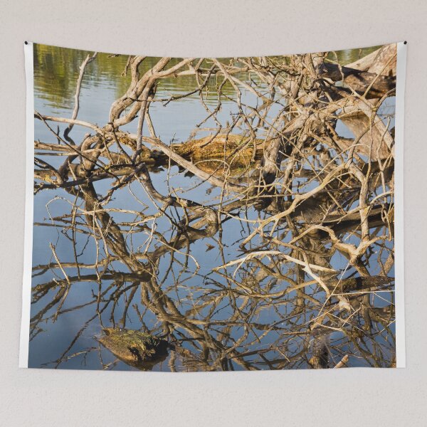 Item preview, Driftwood at an Early Morning Spring at Lake Burley Griffin in Canberra/ACT/Australia (3) designed and sold by Wolf Sverak Photography.