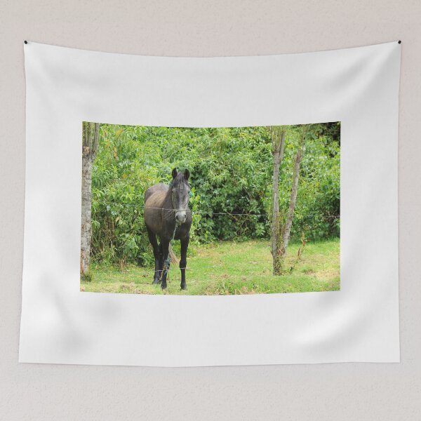 Aperçu de l'œuvre Black Horse in a Pasture créée et vendue par rhamm.