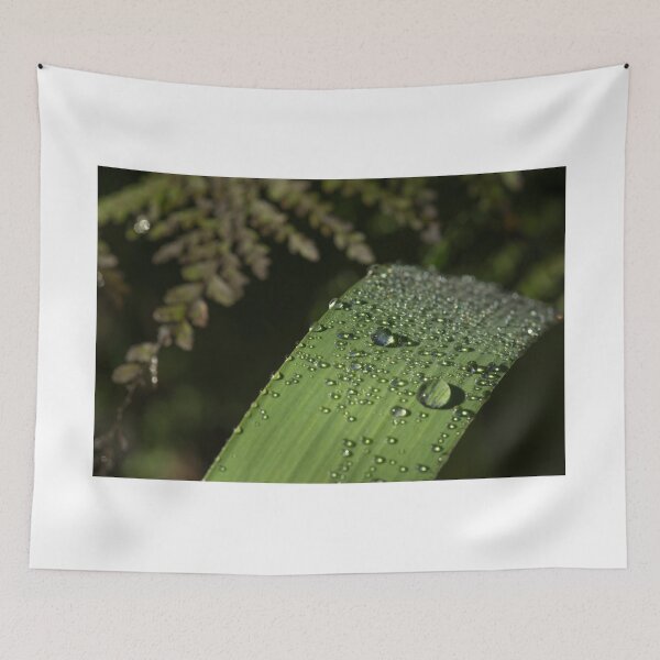 Item preview, Dew Drops on an Iris leaf designed and sold by Clare Colins.