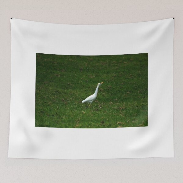 Item preview, Grass Field and Cattle Egret designed and sold by rhamm.