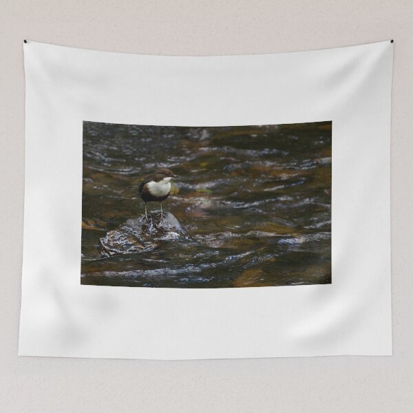 Item preview, Dipper designed and sold by Neil Bygrave (NATURELENS).