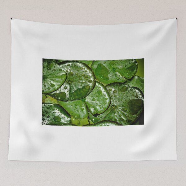 Item preview, lilly pad  designed and sold by Kaitlyn Mikayla.
