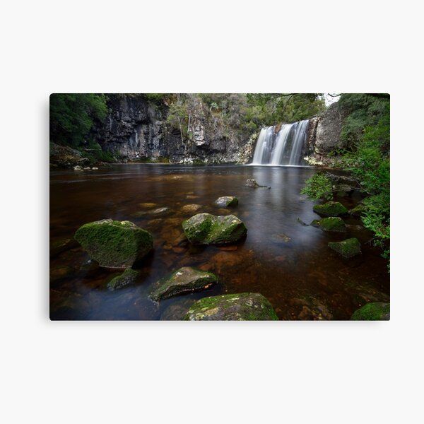 Pencil Pine Falls - Tasmania Canvas Print