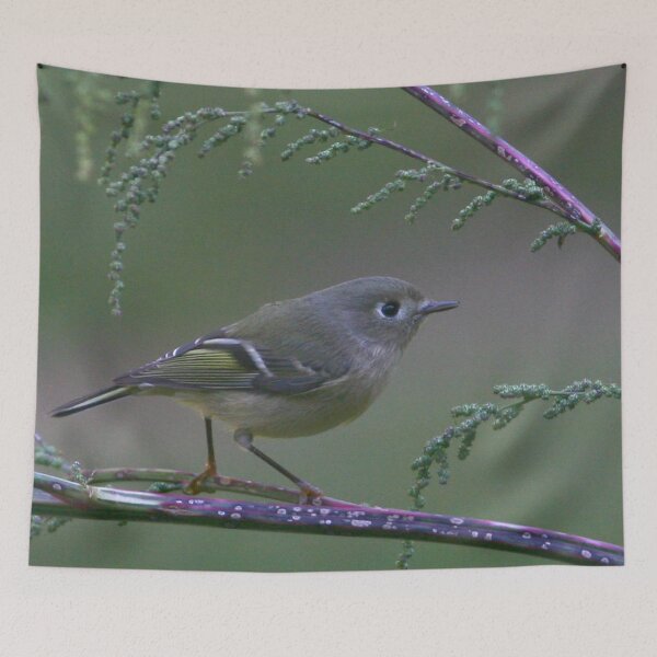 Item preview, Ruby Crowned Kinglet on a branch designed and sold by Enola Gay Wagner.