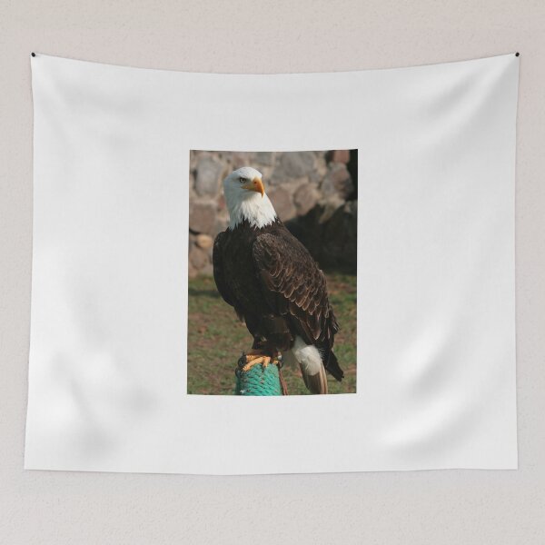 Item preview, Bald Eagle on a Perch designed and sold by rhamm.