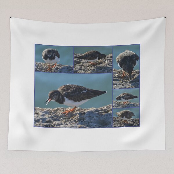 Item preview, A Turnstone at the Harbour,  Lyme, Dorset UK designed and sold by lynn carter.