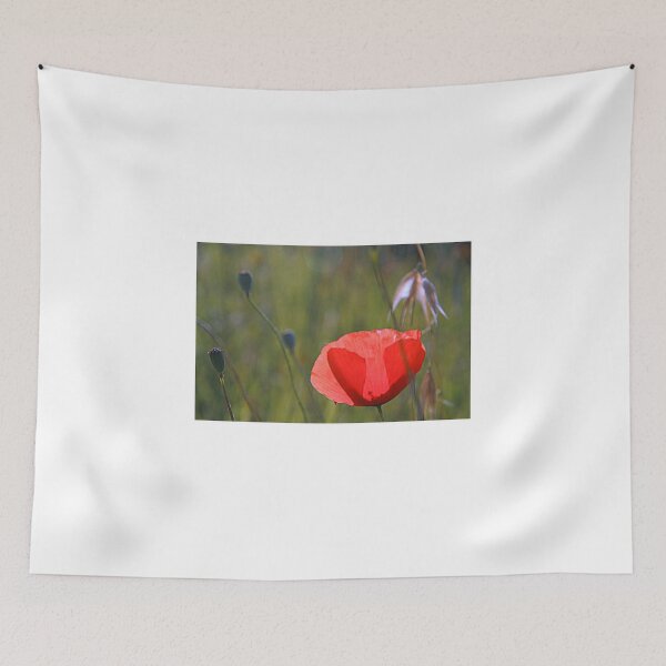 Item preview, Gino designed and sold by gluca.