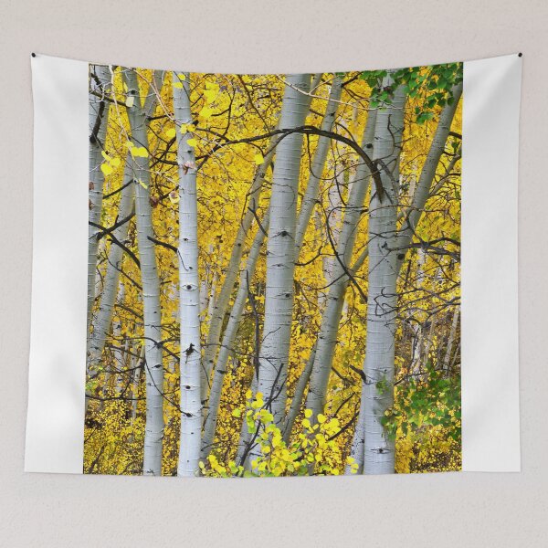 Item preview, Aspen Portrait designed and sold by Gary Benson.