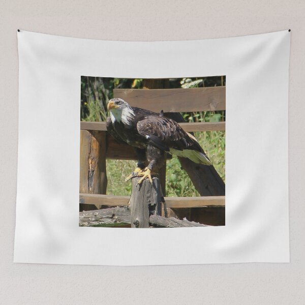 Item preview, Powerful Eagle designed and sold by vette.
