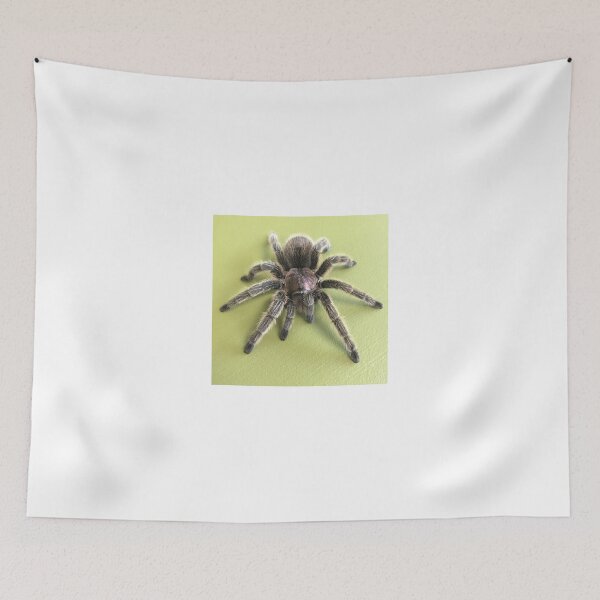 Item preview, Tarantula  designed and sold by hitomimyhomie.