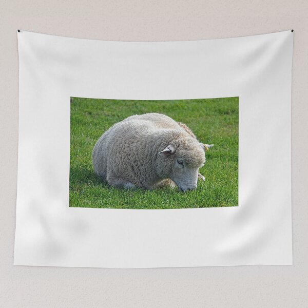 Aperçu de l'œuvre Don't Be  Blue Little  Ewe....  Dorset UK créée et vendue par lynn carter.