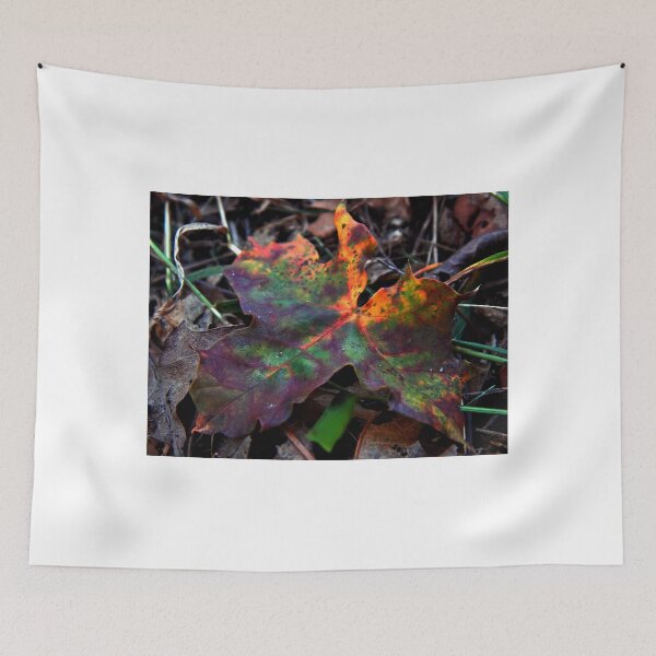 Item preview, Rainbow Leaf (8811) designed and sold by sensameleon.