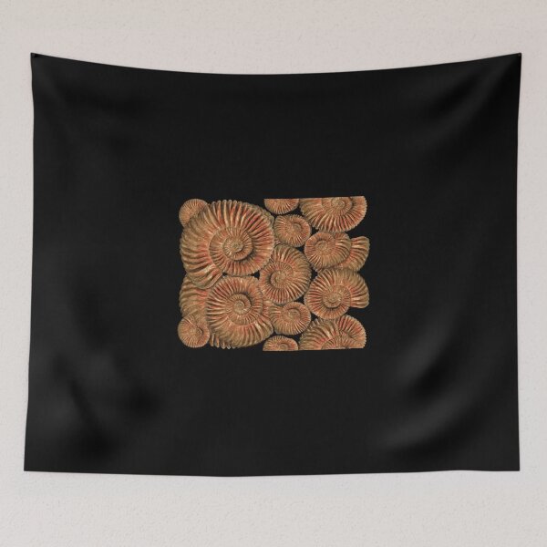 Item preview, Ammonites designed and sold by Ivy Izzard.