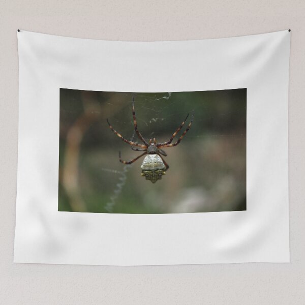 Item preview, Spider on a Web designed and sold by rhamm.