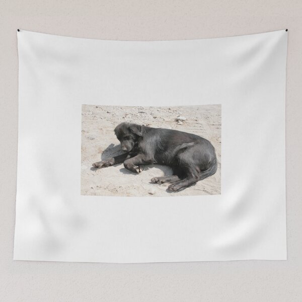Item preview, Black Dog Lying on a Road designed and sold by rhamm.