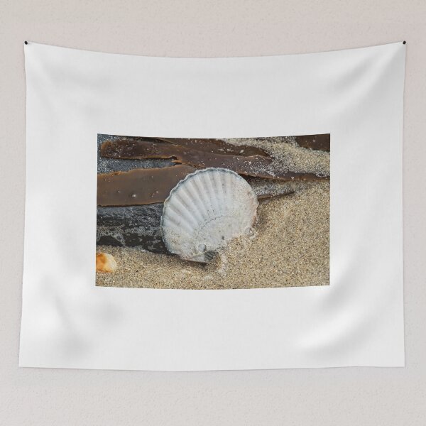 Item preview, Scallop Shell designed and sold by Dorset Girl.
