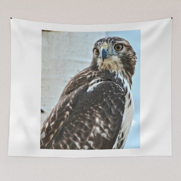 Item preview, Red Tailed Hawk designed and sold by Amy McDaniel.
