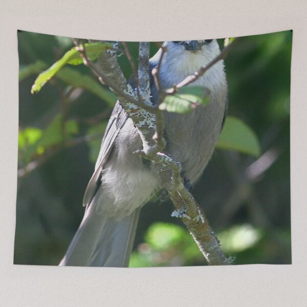 Item preview, Gray Jay designed and sold by Enola Gay Wagner.