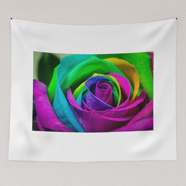 Artikelvorschau, Multi farbige Rose entworfen und verkauft von Keith's Photo Artistry.