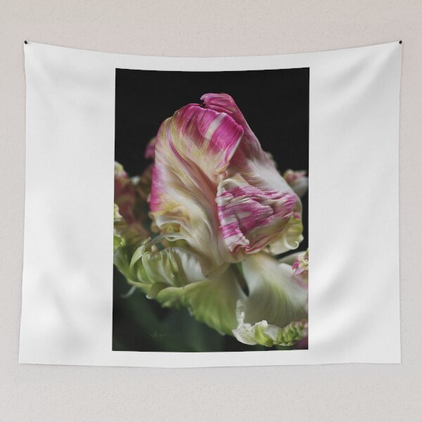 Item preview, Parrot Tulip Flower designed and sold by Joy Watson - Natural Light Photography .