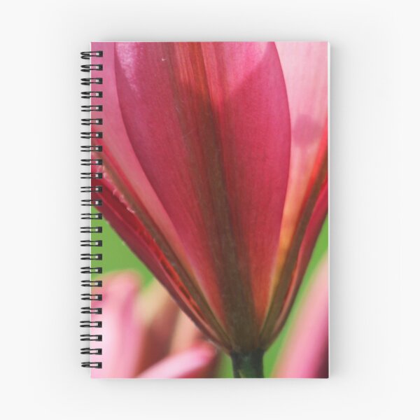 Item preview, Pink Lily in the Light designed and sold by Gilda Axelrod.