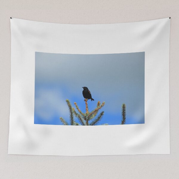 Item preview, Red Winged Blackbird on a Spruce Tree designed and sold by rhamm.