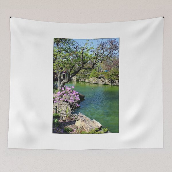 Item preview, Koi Pond at the Belle Isle Conservatory designed and sold by anitahiltz.