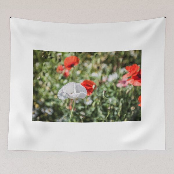 Aperçu de l'œuvre White Poppy in Field créée et vendue par HoneyBee73.