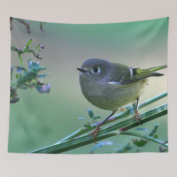 Item preview, Ruby Crowned Kinglet portrait  designed and sold by Enola Gay Wagner.
