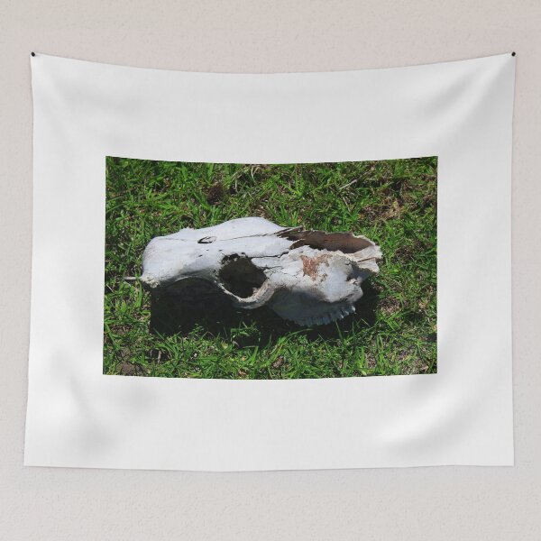 Item preview, Cow Skull in a Field designed and sold by rhamm.
