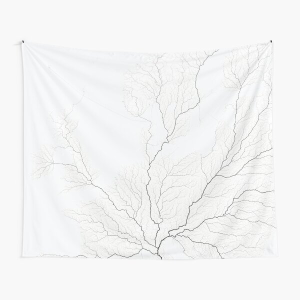 Tapestry