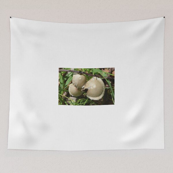 Item preview, MINI TOADSTOOLS designed and sold by kazaroodie.