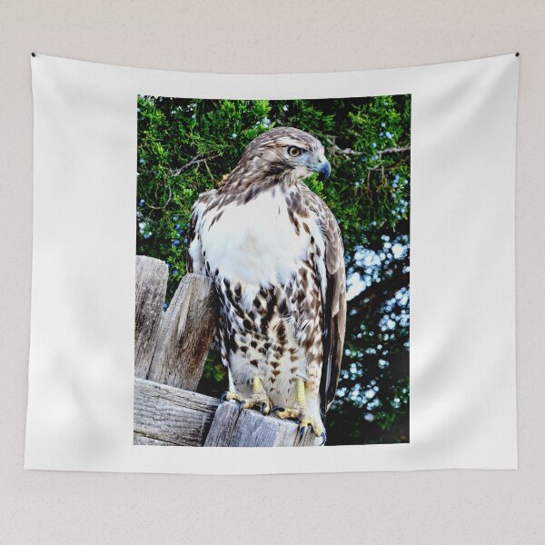 Item preview, Red Tailed Hawk designed and sold by Amy McDaniel.