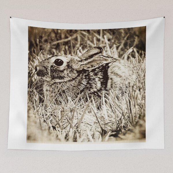 Item preview, Cottontail Rabbit, Bunny, in Grass, Sepia, Grunge designed and sold by PhotosByTrish.