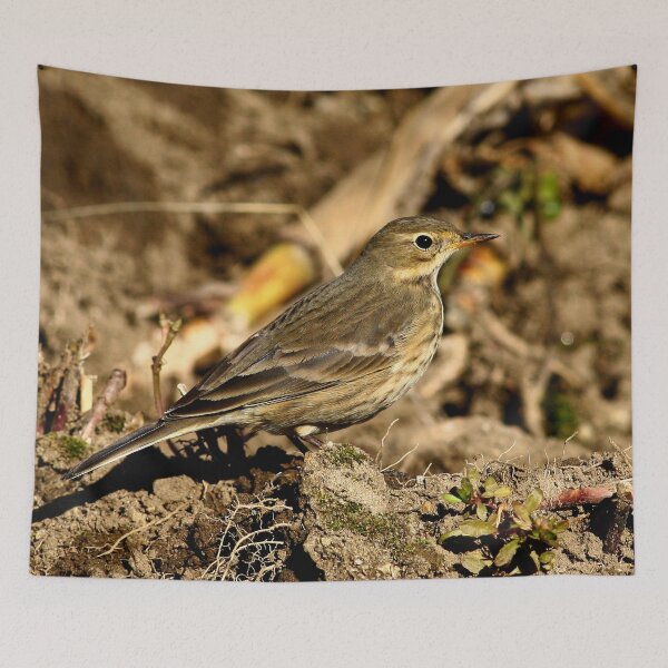 Item preview, American Pipit designed and sold by Enola Gay Wagner.