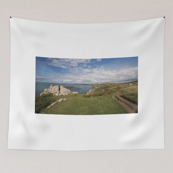 Item preview, South west coast path designed and sold by eddiej.