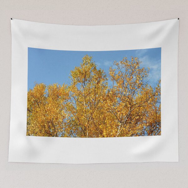 Item preview, Aspen in Autumn designed and sold by Laurie Minor.