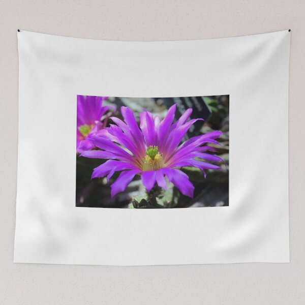 Item preview, Purple Cactus Flower designed and sold by anitahiltz.