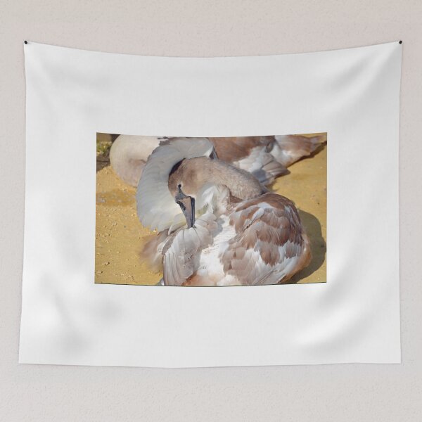 Item preview, Family snuggle time.... Abbotsbury Dorset UK designed and sold by lynn carter.