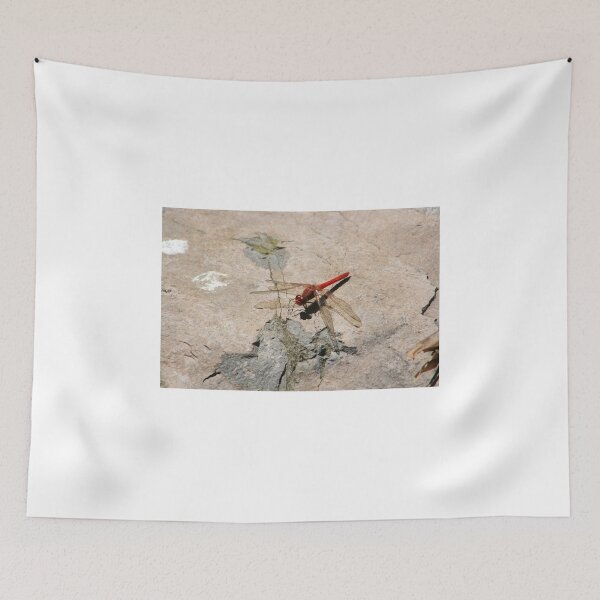 Item preview, Red Dragonfly on a Rock designed and sold by rhamm.