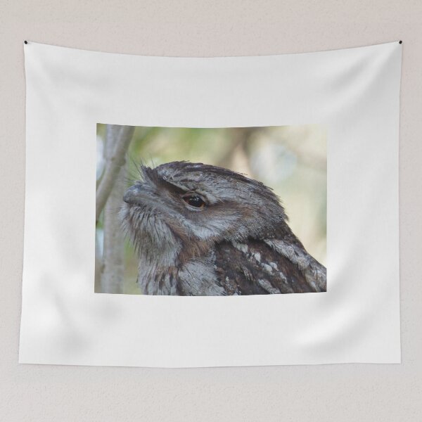 Item preview, Frogmouth. designed and sold by ginnymac.