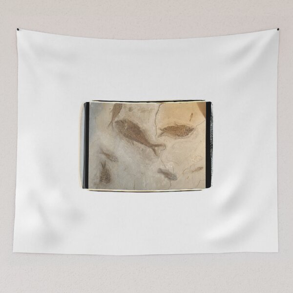 Item preview, Fossil designed and sold by Ron Degroom.