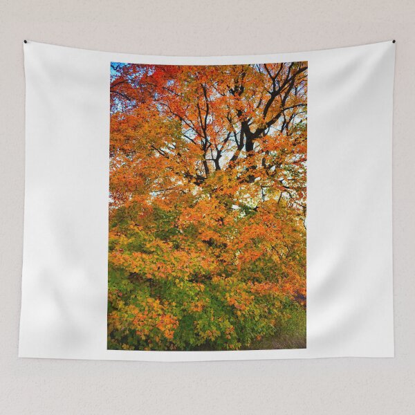 Item preview, Autumn Glory  designed and sold by Robert Meyers-Lussier.