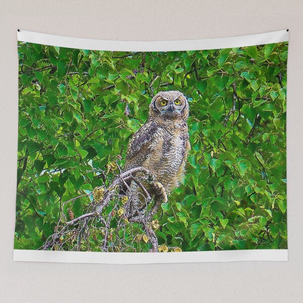 Item preview, Owl Perched designed and sold by ADM  Photography.